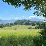 Germogli I Tenuta Di Fassia