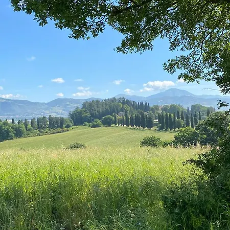 Germogli I Tenuta Di Fassia