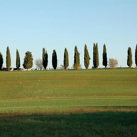 בית חווה Germogli I Tenuta Di Fassia