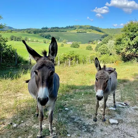 Germogli I Tenuta Di Fassia Alojamento de Turismo Rural Gubbio