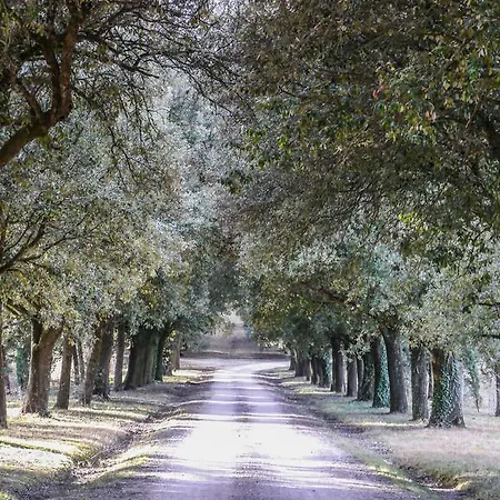 Alojamento de Turismo Rural Germogli I Tenuta Di Fassia *