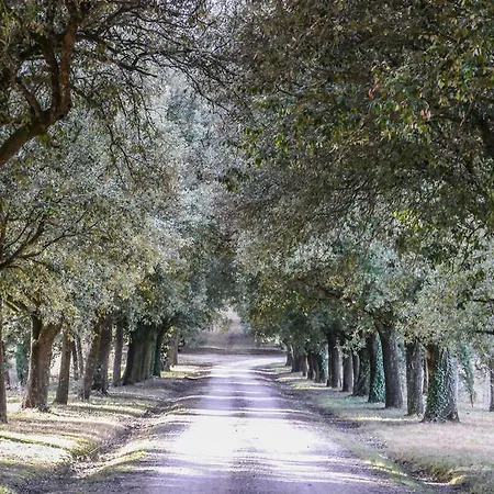 Alloggio per agriturismo Germogli I Tenuta Di Fassia *