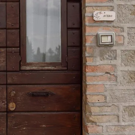 Germogli I Tenuta Di Fassia