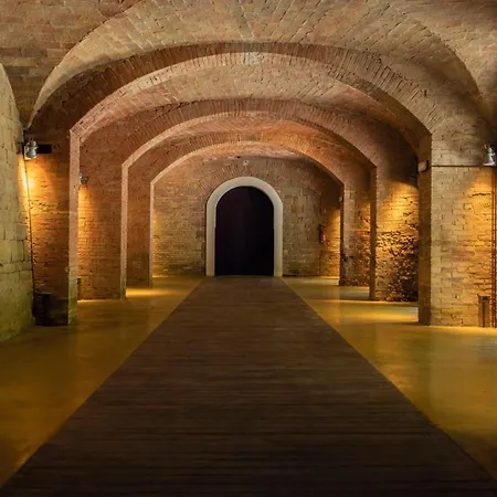 Germogli I Tenuta Di Fassia