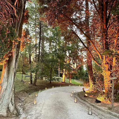 Germogli I Tenuta Di Fassia Farm stay