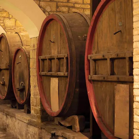 Germogli I Tenuta Di Fassia 팜스테이 구비오