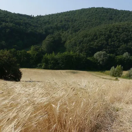 Germogli I Tenuta Di Fassia גוביו