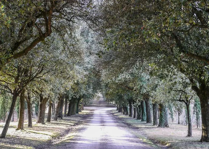 Alojamento de Turismo Rural Germogli I Tenuta Di Fassia *